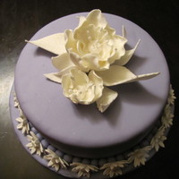 Wilton Fondant And Gum Paste - Final Cake 