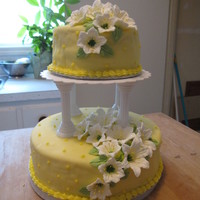 "cecilia" First attempt at a tiered cake