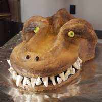 T-Rex Head of a T-rex dinosaur