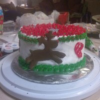 Christmas Cake First time working with color flow.