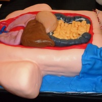 Anatomy Cake I made this for the talent show to celebrate the completion of the pre-med program I am in. Yes, it is a red velvet cake ;)