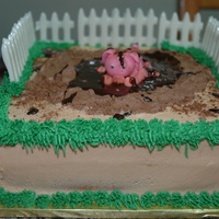 Pig Pen Smash Cake the fence is white choco, the pig is mmf