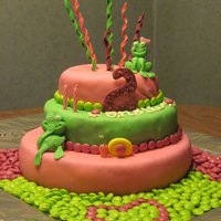 Anslie's 2Nd Birthday I made this cake for my daughter's 2nd birthday. Its only my second ever cake! Bottom layer was white cake tinted green, with pink...