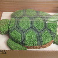 Turtle Cake Simple white cake cut into shape of turtle. Covered in BC.