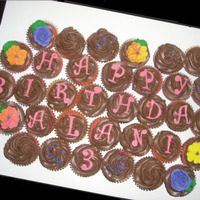 Happy Birthday Alani Pink cupcakes with chocolate icing and royal icing flowers and sprinkles