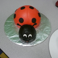 Ladybug covered in red and black MMF