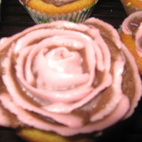 Rose Cupcake Vanilla cupcakes with buttercream rose piped on.