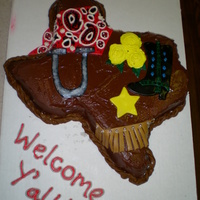 Texas Cake I created this cake the 1st time my in-laws came to visit us in Texas! Their favorite is yellow butter cake with chocolate frosting - and I...