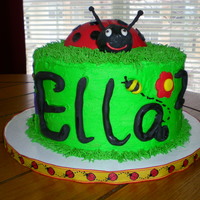 Ladybug 2Nd Birthday WASC covered in buttercream with fondant accents. Used half a sports ball pan for the body of the ladybug and a rice cereal treat ball for...