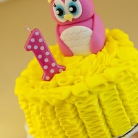 Ryann's First Birthday 