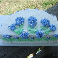 Blue Bonnets 