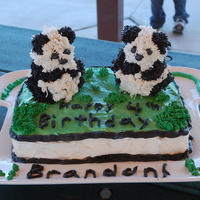 Panda Party This is the 2nd cake I ever made!! It's kinda sloppy, but I had never piped before! This was a panda cake for my sons panda party! I...