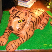 Tiger VEry hard work. Had to cover in 3 parts and then blend the seams. Not easy at all!!! Covered in fondant.