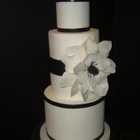 Black White Magnolia 