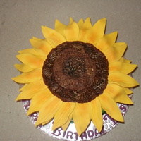 Sunflower Cake 