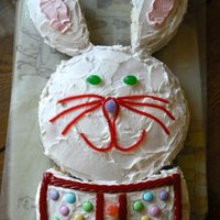 Easter Bunny I made this cake last Easter - 2009 - before I started trying Fondant. It was super fun and the kids loved it!