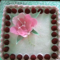 Raspberry Cake Dark chocolate truffle raspberry cake with layers of chocolate truffle filling and raspberry cream cheese filling, topped with whipped...