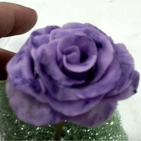 Fondant Rose My first fondant rose from Wilton Course 3. I'm in course 1 but I was in Michaels and my teacher was teaching course 3 and invited me...