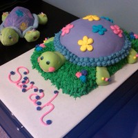 Webkinz Turtle Was given this turtle webkinz and asked to make a cake - the birthday girl loved it!