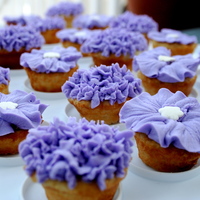 Flower Petal Cupcakes I made these as mini cupcakes. They have buttercream icing flowers using tip 104 and tip 224. I had trouble with tip 104, and they did not...