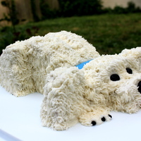 Dog Cake The inside is marble cake, The outside if buttercream frosting using the grass tip. The Eyes, Collar, Tongue and nails are made of Gum...