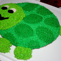 Turtle Cake I made this cake using the wilton lady bug pan and then followed the instructions on transferring it into a turtle!