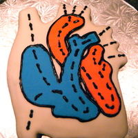 Anatomically Correct Valentine's Day Cake I made this cake while studying for a bio test....