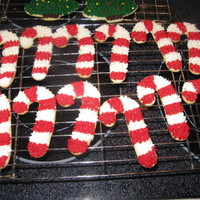 Candy Canes 