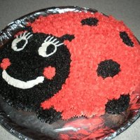 Ladybug My very first attempt ever at cake decorating!