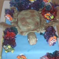 Turtle And Isomalt Coral 