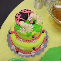 Ladybug Baby Shower 