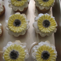 Retirement Party Cupcakes! Vanilla bean cake with vanilla buttercream icing. The flowers (Dogwood and Daisy) are made with gumpaste. I made these for a co-workers...