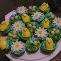 Easter Cupcakes Fondant dasies, Marshmellow Peeps, and chocolate eggs with coconut grass. Thanks to everyone for their tips on the dasies!