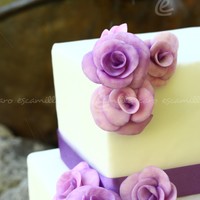 Rosas Lilas 