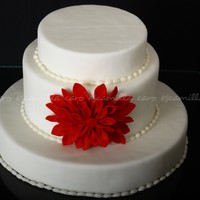 Gerbera Roja 