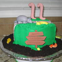 Armadillos, Slugs, Worms...oh My! Cake made for my neighbor's daughter's birthday. Her favorite animals are armadillos & banana slugs! Armadillo, slug, giant &...