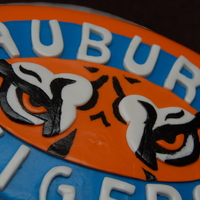 Auburn Tiger Eyes Oval shaped. Covered with orange Satin Ice Fondant. The tiger eyes were hand cut and handpainted. TFL!