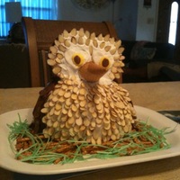 Owl Cake Thanks to cc member theresaplatte for this idea... Marble cake with vanilla and choclate frosting with slivered almonds sugar ice cream...