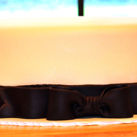 Small, Simple, Elegant Wedding Cake This was for an "immediate family" only wedding so it was a 10 inch double layer french vanilla with buttercream, covered with...