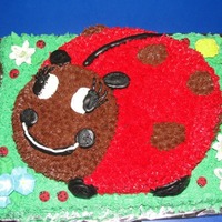 Lady Bug My sister loves Lady bugs...she asked for this cake for her last birthday (54)....the lady bug is sitting on rice krispies covered in green...