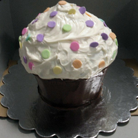 Giant Cupcake giant cupcake