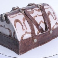 Coach Handbag My sister-in-law loves coach handbags, so I tried to make her one out of cake. I made a mistake or two... and learned a lot from making...