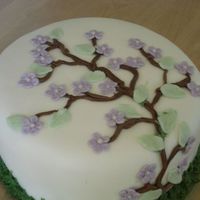 Birthday Cake birthday cake