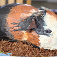 Guinea Pig Cake My sister loves Guinea Pigs and requested one for her birthday cake. This is decorated with frosting... no fondant on this cake.