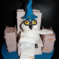 Wizard Owl Dummy Cake. Seen in a book.