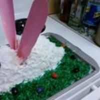 Its A Rabbit For Easter I made this cake years ago first themed cake. Grass in dyed coconut Rabbit carrot cake buttercream icing with shredded coconut