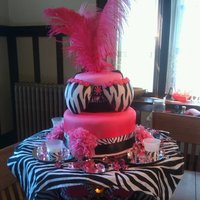Zebra Cake I made this cake for a "support our girls" fundraiser! It was SOOOO much fun!