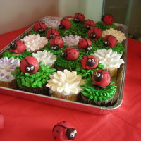 Lady Bug Cupcakes Chocolate and vanilla cupcakes with vanilla frosting for the grass, marshmallows for the flowers, and cake balls covered in chocolate...