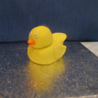 Duck, Pig And Teddy Bear a 3d little duck, pig and teddy