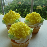 Shaggy Mum Cupcakes Wilton 2D, 352, and 233 tips with buttercream icing on white cupcakes. http://gabbyrm.blogspot.com/